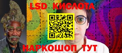 стафф Владимир