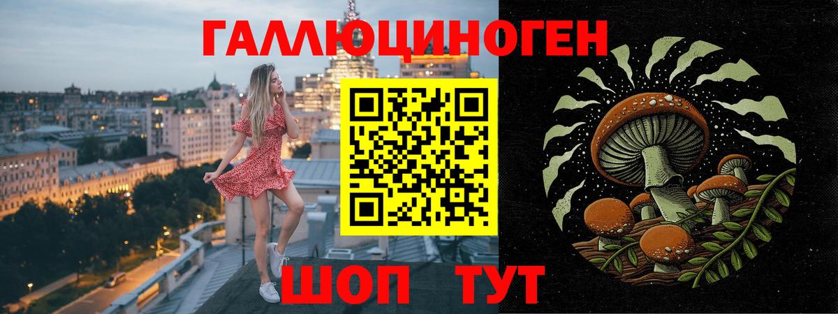 наркотики  Галлюциногенные грибы MAGIC MUSHROOMS  Вход с VPN  Морозовск 