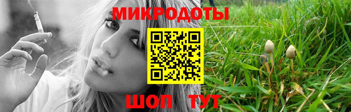 Галлюциногенные грибы Cubensis Морозовск